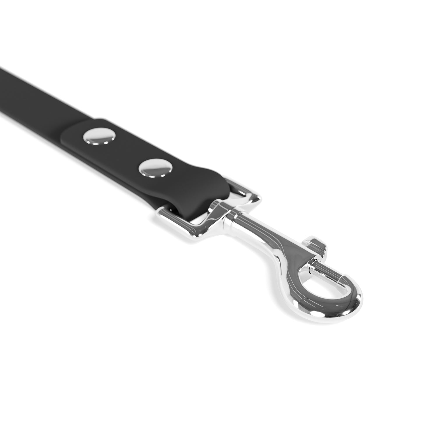 WYAOTR Pet Leash