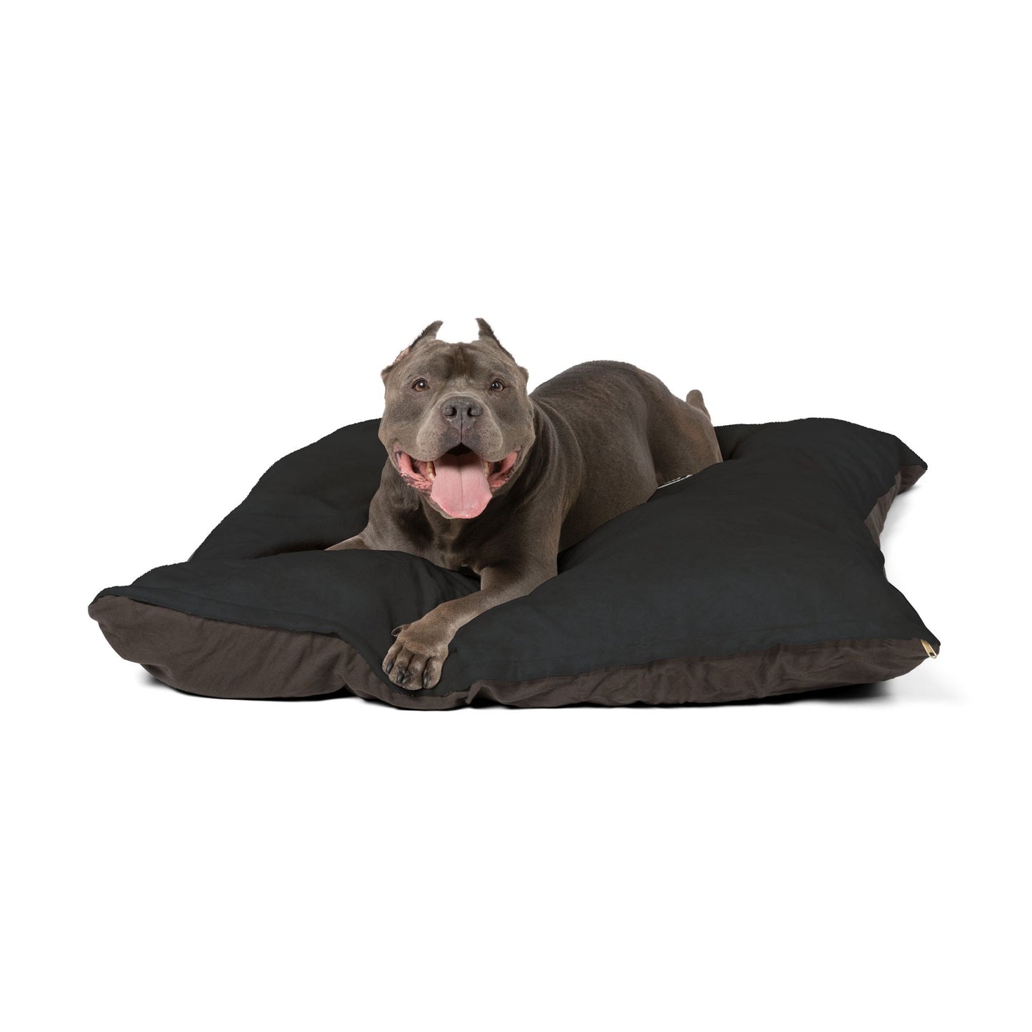 WYAOTR Pet Bed