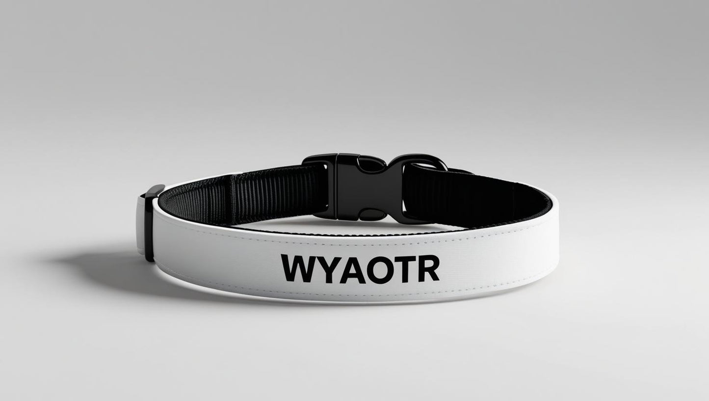 π WYAOTR Clip-On Pet Collar