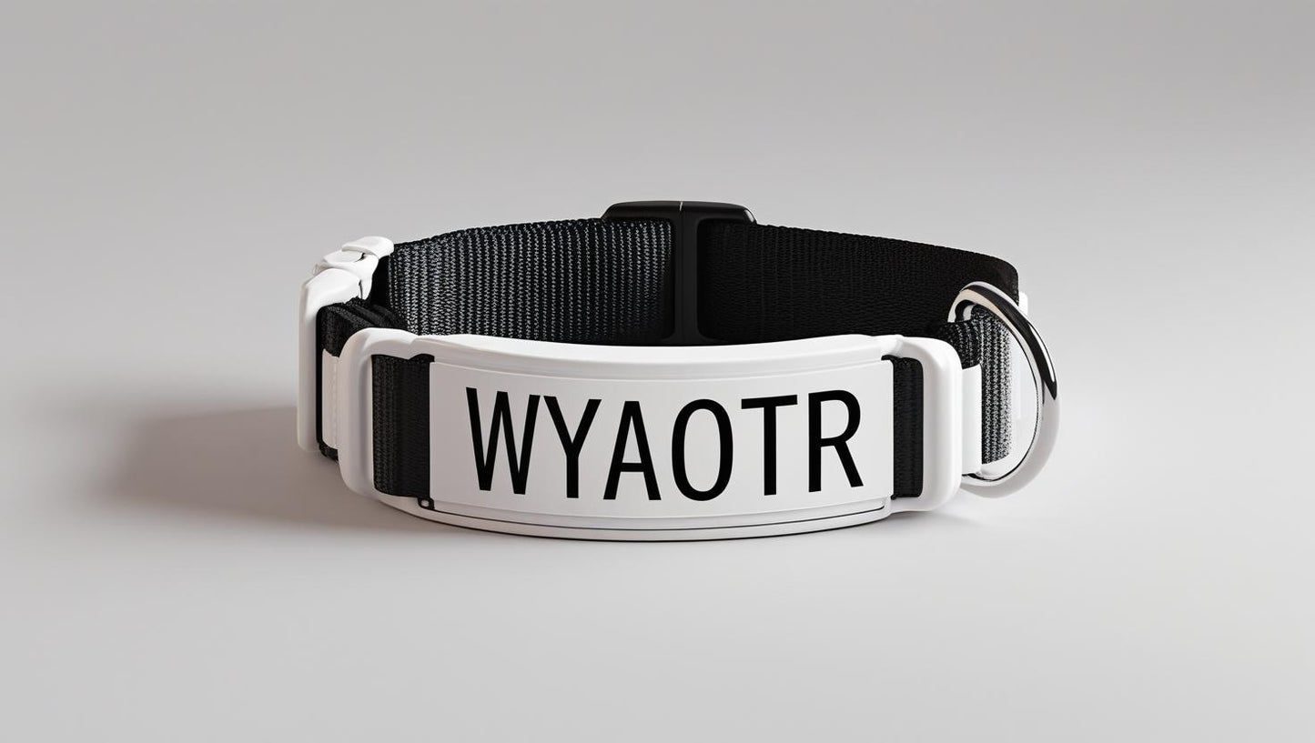 π WYAOTR Clip-On Pet Collar
