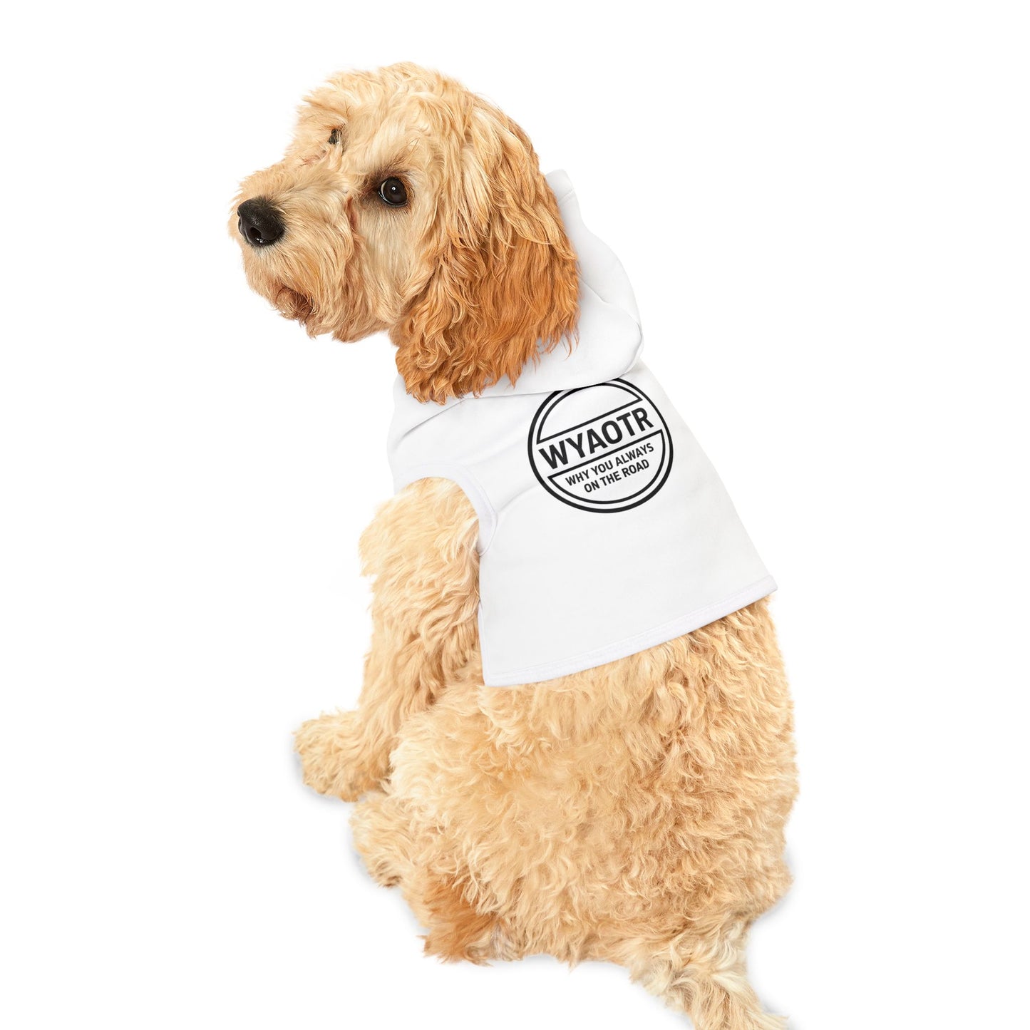 ๐ถ WYAOTR Pet Hoodie