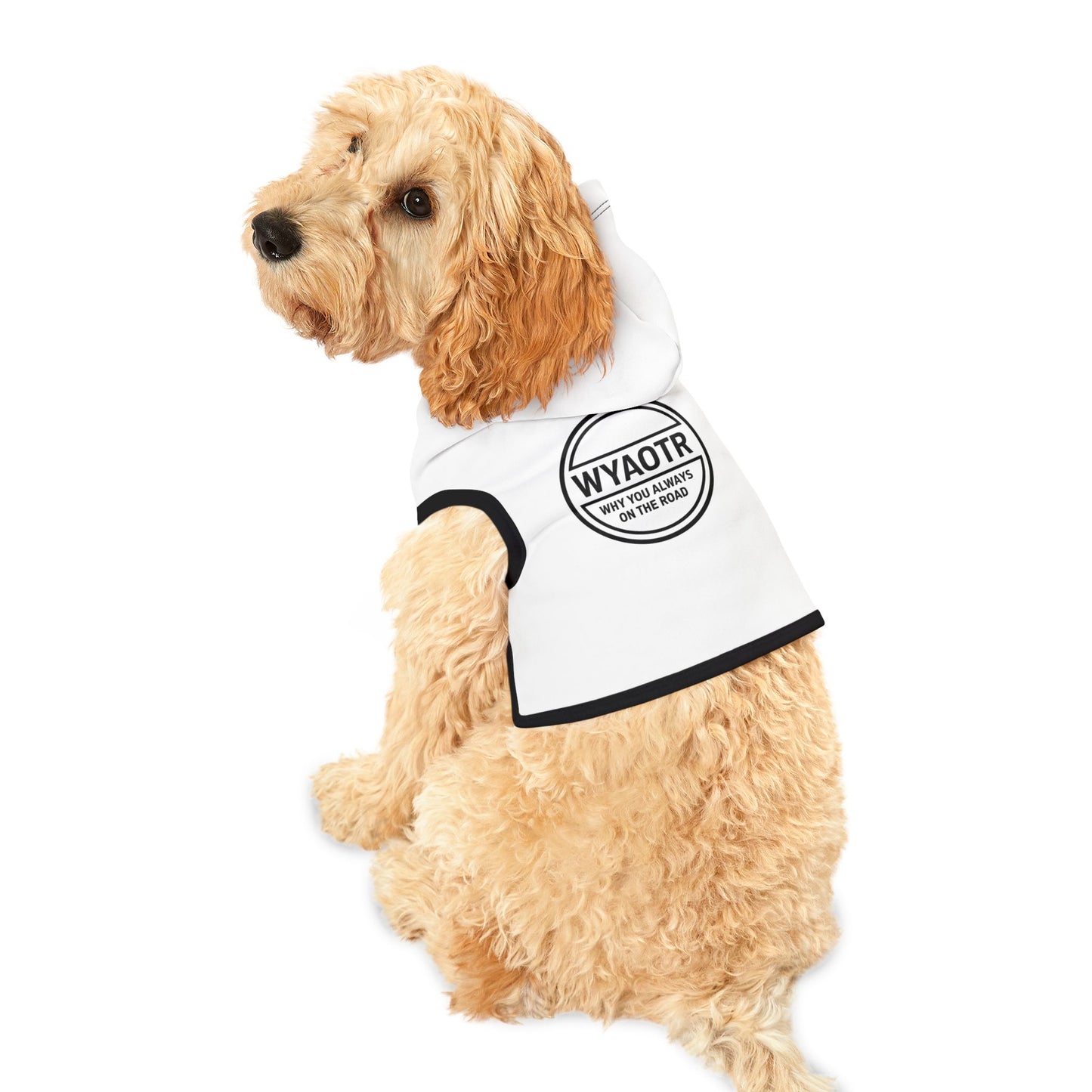 ๐ถ WYAOTR Pet Hoodie