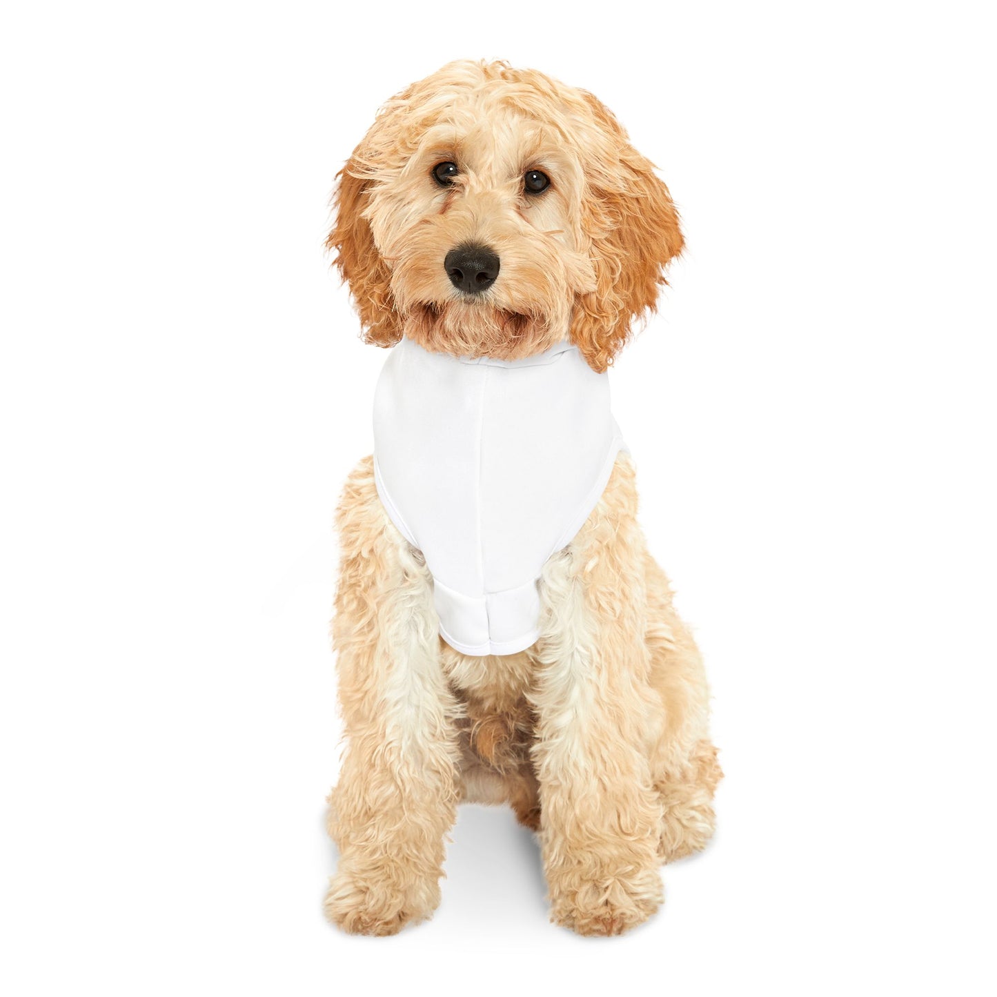 ๐ถ WYAOTR Pet Hoodie