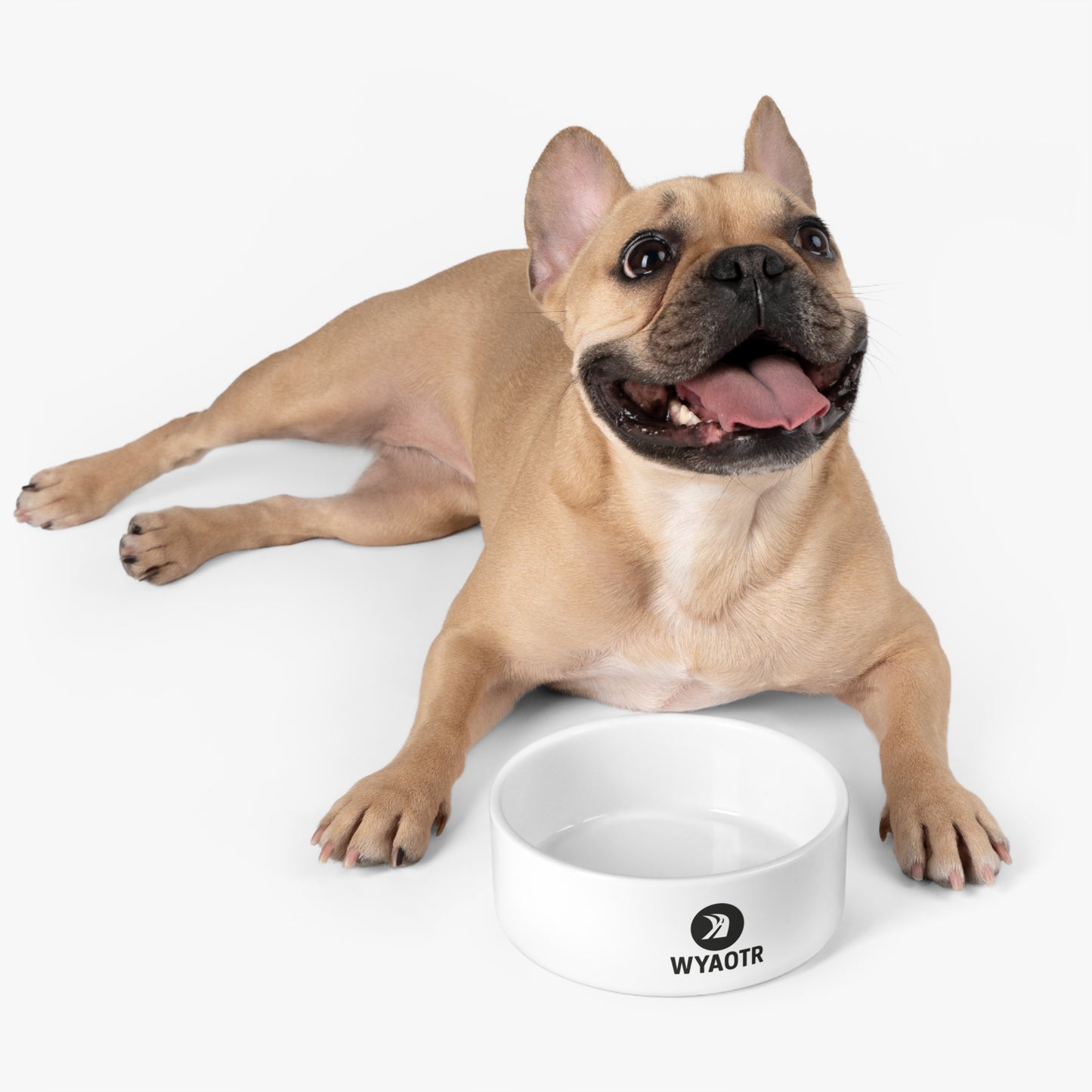 🍲 WYAOTR Pet Bowl (Standard)
