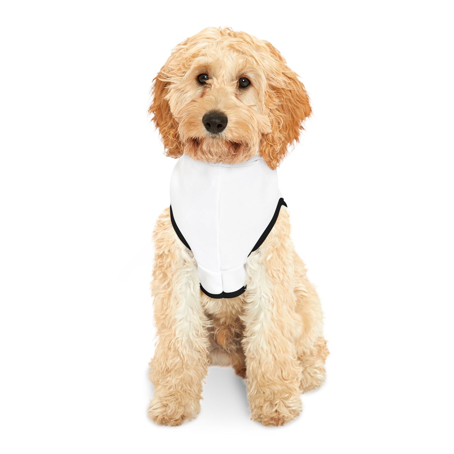 🐶 WYAOTR Pet Hoodie