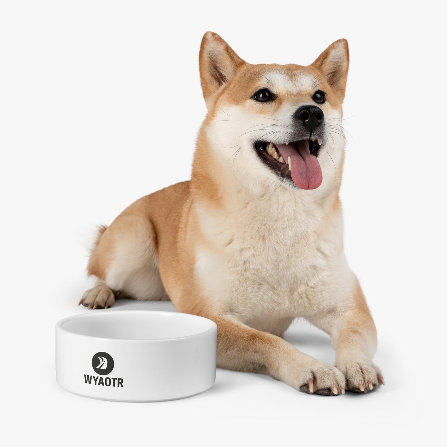 🍲 WYAOTR Pet Bowl (Standard)