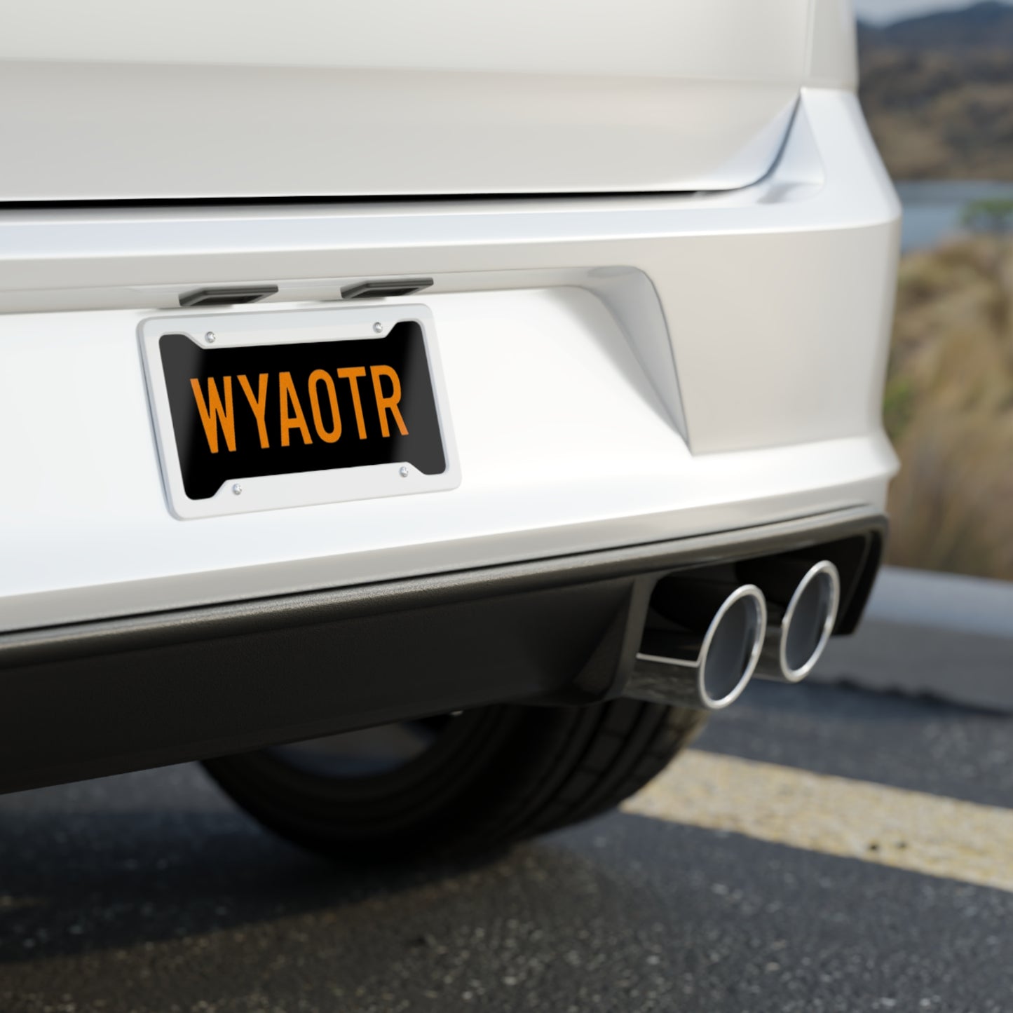 Personalized License Plate, Custom Car Tag, Unique Vehicle Decor, Personalized Gifts, Car Enthusiast Accessories